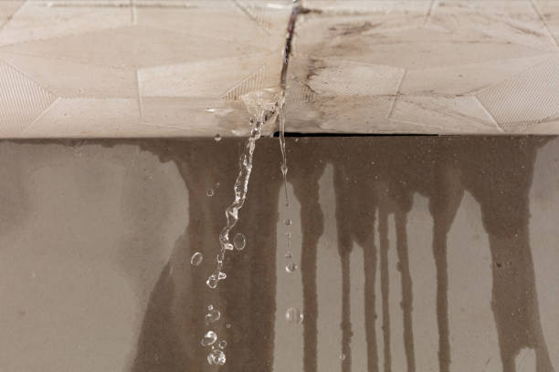 Professional Flood Damage Cleanup technician working in Centreville, MI
